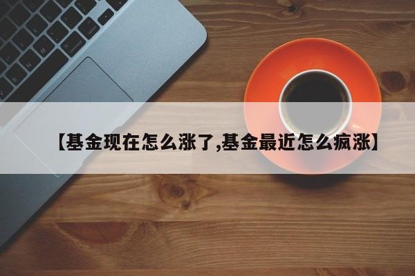【基金现在怎么涨了,基金最近怎么疯涨】
