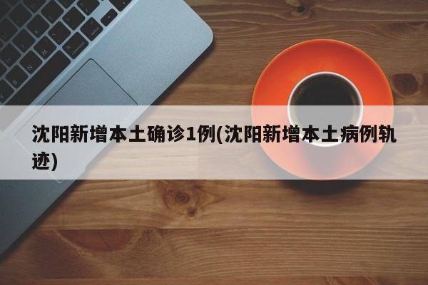 沈阳新增本土确诊1例(沈阳新增本土病例轨迹)
