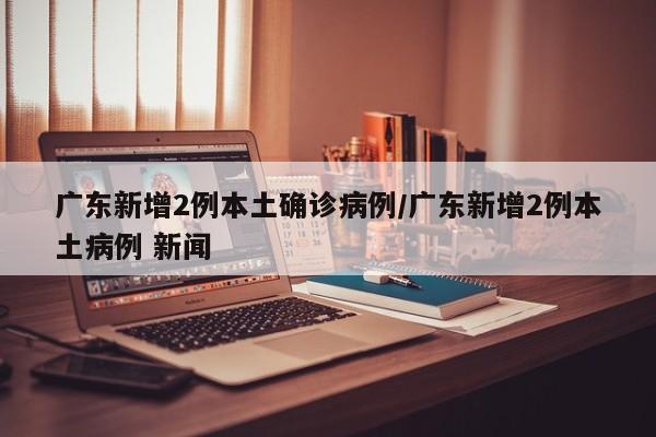 广东新增2例本土确诊病例/广东新增2例本土病例 新闻