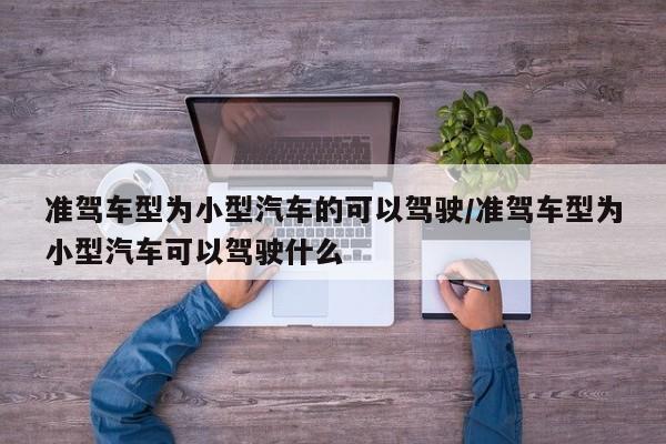 准驾车型为小型汽车的可以驾驶/准驾车型为小型汽车可以驾驶什么