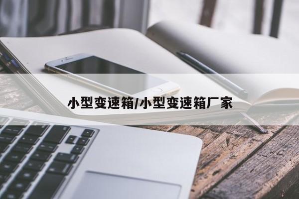 小型变速箱/小型变速箱厂家