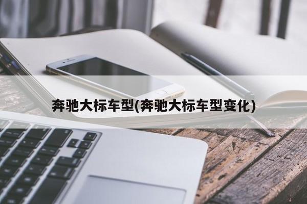 奔驰大标车型(奔驰大标车型变化)