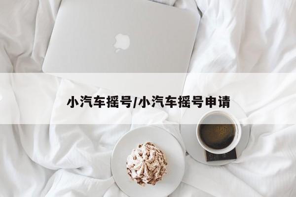 小汽车摇号/小汽车摇号申请