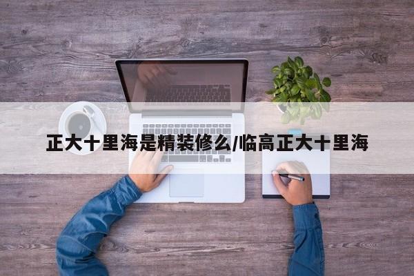 正大十里海是精装修么/临高正大十里海
