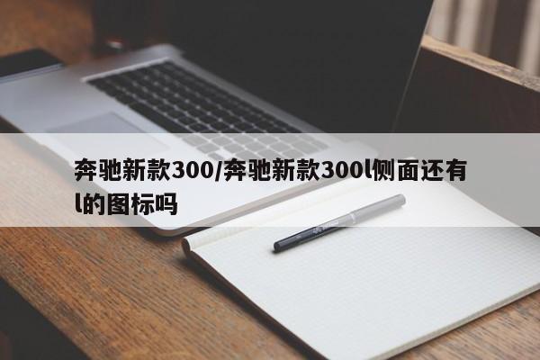 奔驰新款300/奔驰新款300l侧面还有l的图标吗