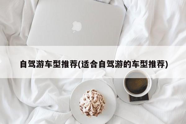 自驾游车型推荐(适合自驾游的车型推荐)