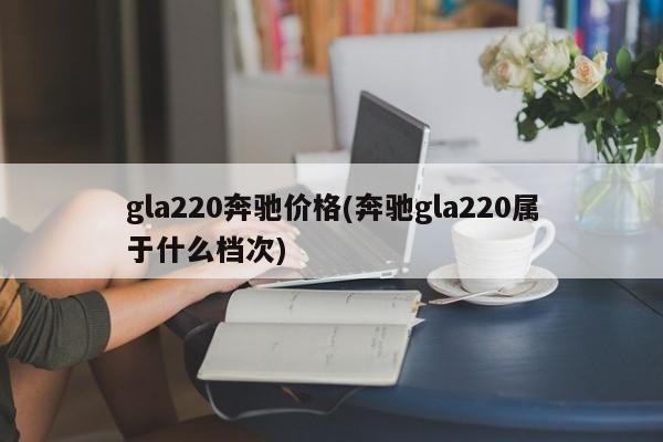 gla220奔驰价格(奔驰gla220属于什么档次)