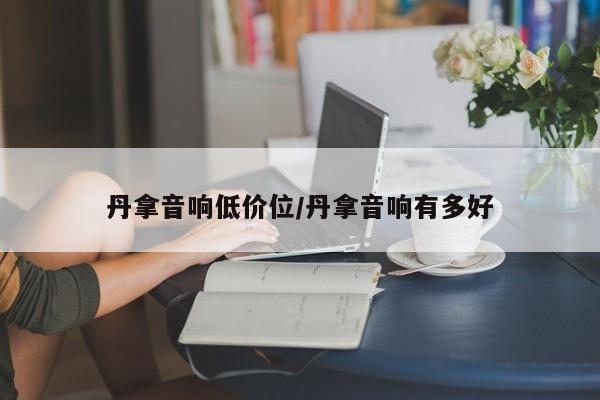 丹拿音响低价位/丹拿音响有多好