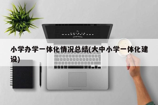 小学办学一体化情况总结(大中小学一体化建设)
