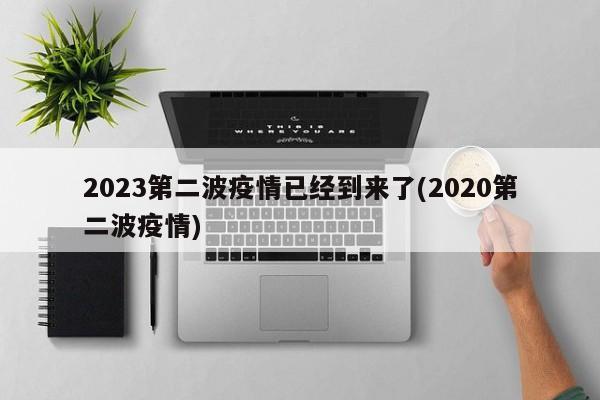 2023第二波疫情已经到来了(2020第二波疫情)