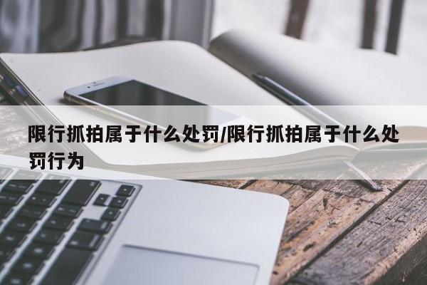 限行抓拍属于什么处罚/限行抓拍属于什么处罚行为